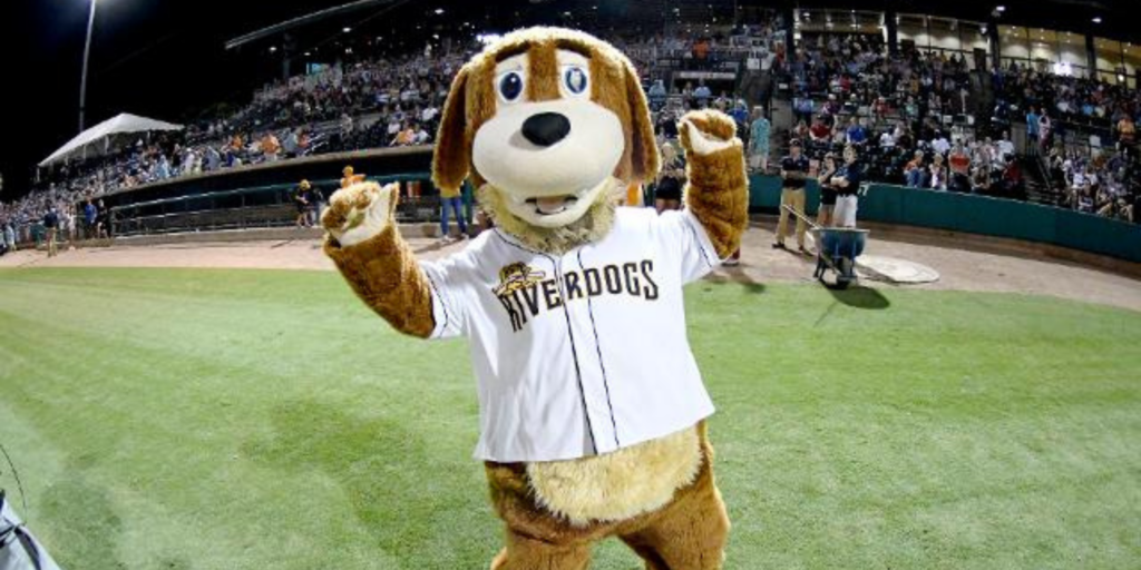 Minor League Baseball team, the Riverdogs' mascot during a game